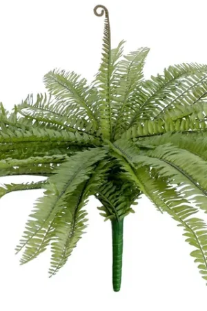 Marque EUROPALMS Fougère de Boston, plante artificielle, vert, 70cm