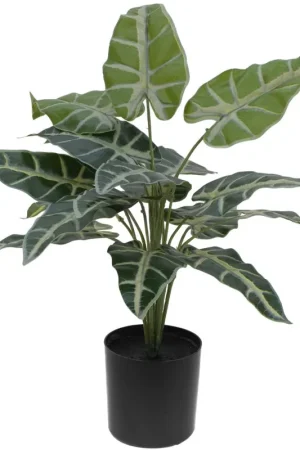 Seulement Aujourd’hui EUROPALMES Caladium, plante artificielle, 38cm