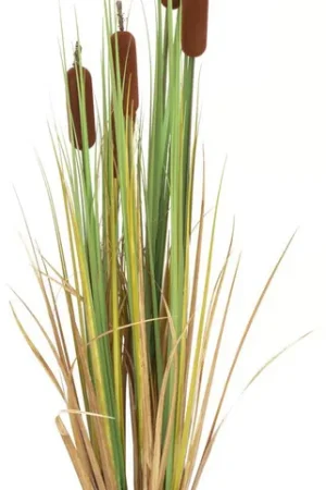 Populaire EUROPALMS Scirpe, plante artificielle, 150cm