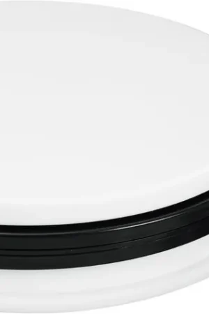 Affaire À Saisir EUROPALMS Plateau rotatif 25cm jusqu'à 25kg blanc