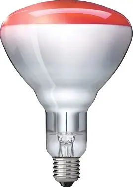 Jusqu’à Épuisement Des Stocks Philips InfraRed 150R R125 E27