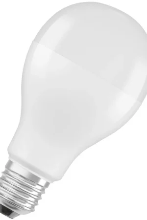 Bon Marché OSRAM LED VALUE CLASSIC A 150 19 W/3000 K E27