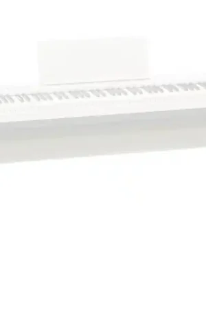 RolandKSC-70 (Blanc) Soldes