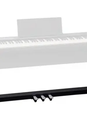 RolandKPD-70 (Noir) Nouveauté