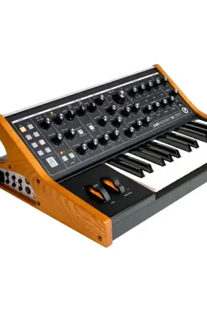 MoogSUBSEQUENT 25 Nouvel Arrivage