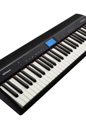 Achetez Aujourd’hui RolandGO:PIANO