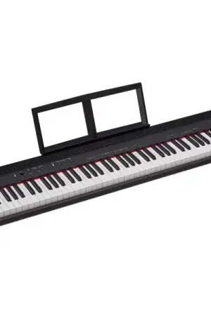 RolandGO:PIANO 88 Bon Plan