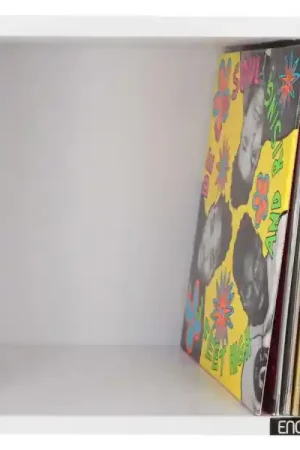 Quantité Limitée Enova HifiVINYLE BOX 120WH BLANC