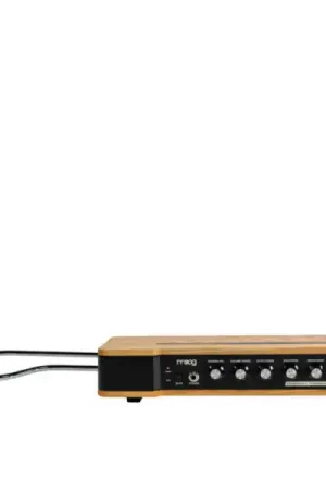 MoogEtherwave Theremin Nouvel Arrivage