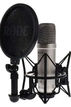 Acheter En Ligne RodeNT1 GEN5 (Argent)
