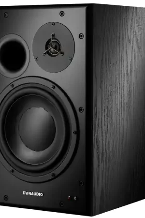 Bon Plan DynaudioBM15A RIGHT