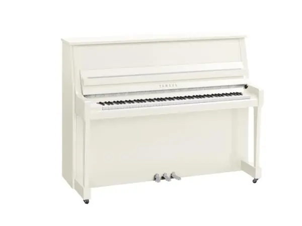 Yamaha B20 PWHC - chrome Vente Flash