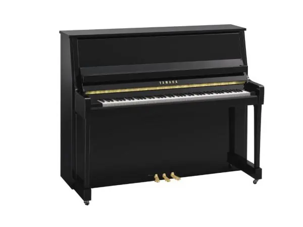 Yamaha B30 PE Produit De Marque