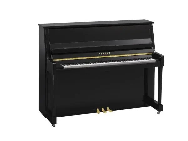 Prix Cassé Yamaha B20 PE