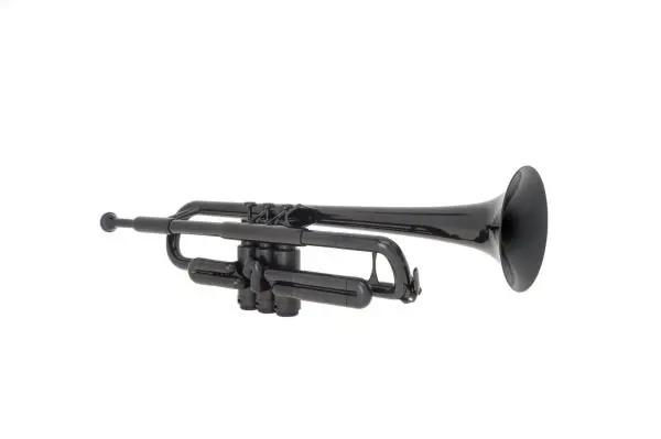 Ptrumpet TROMPETTE NOIR Prix Réduit