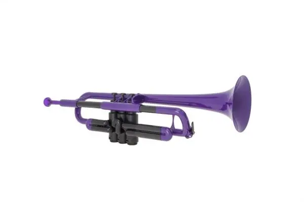Remise Ptrumpet TROMPETTE VIOLET
