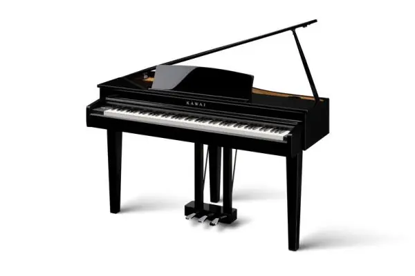 Kawai DG 30 Achat Immédiat