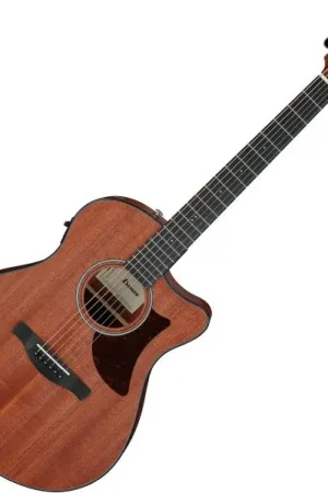 Achat Immédiat Ibanez Advanced AAM54CE OPN - open pore natural