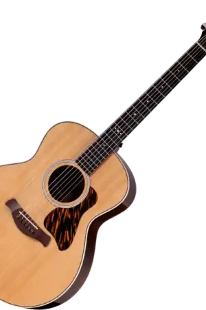 Bon Marché Taylor Gold Label 714e - natural firestripe pickguard