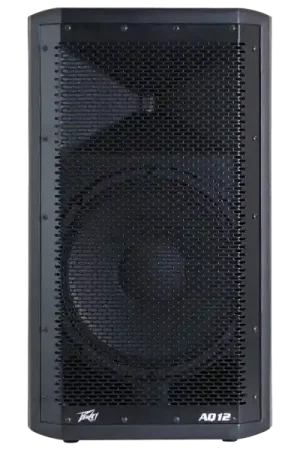 Meilleur Prix Peavey AQ-12