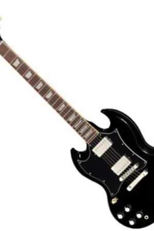 Vente Directe Epiphone SG Standard Gaucher - ebony