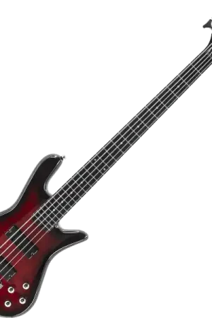 Spector LEGEND SERIE STANDARD 5 - black cherry Nouveauté