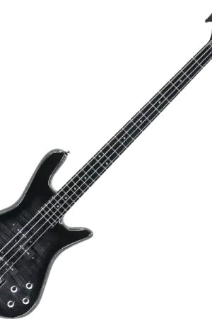 Spector LEGEND SERIE STANDARD 4 - black stain Prix Bas