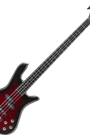 Spector LEGEND SERIE STANDARD 4 - black cherry Haute Qualité