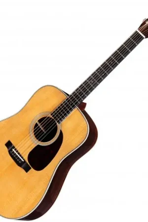 Authentique Eastman E20D-TC Traditional - natural