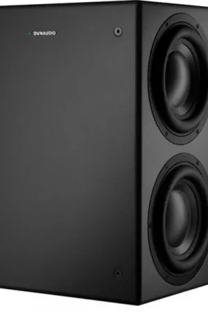 Dynaudio CORE SUB - la pièce Meilleure Vente