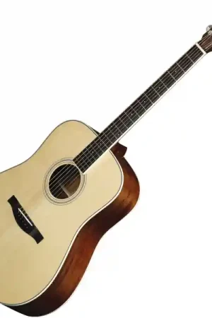 Bon Plan Eastman AC320 +Etui - natural gloss - natural gloss