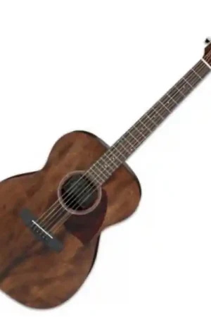 Achat Immédiat Ibanez PC12MH OPN - natural